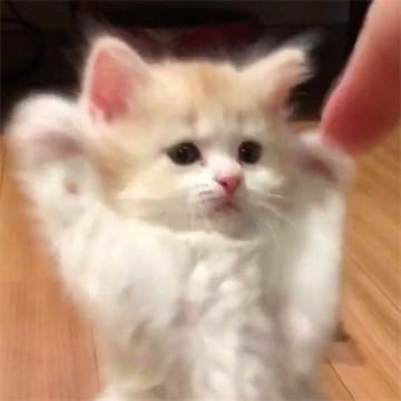 User Kiều Ngọc Lam